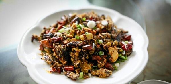 عکس سوسک غذا