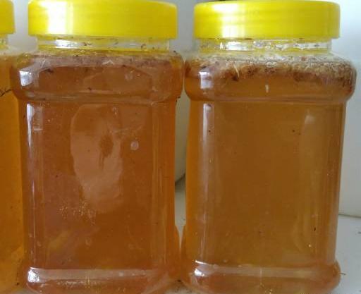عکس طبیعی عسل