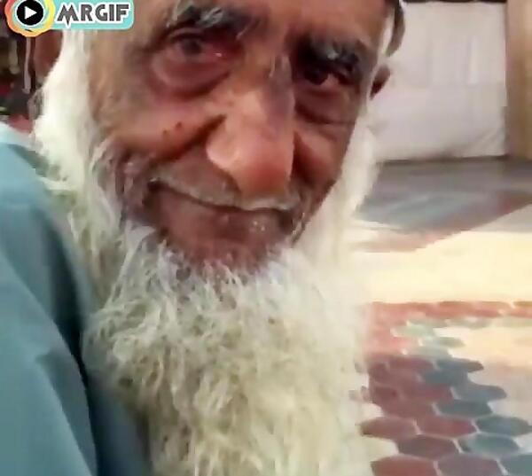 عکس گربه آدم نما