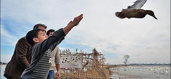 عکس بازار شیطان شیراز