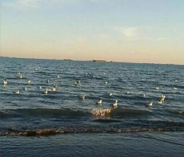 عکس دریا جنوب