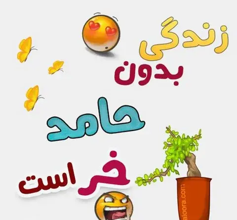 عکس پروفایل حامد دوست دارم