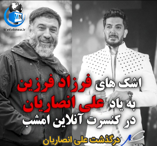 عکس علی انصاریان و همسرش در کنسرت