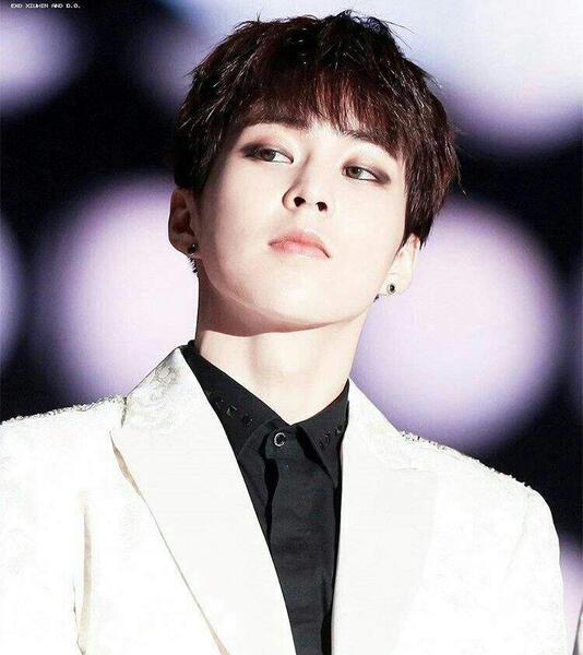 عکس اکسو سهون