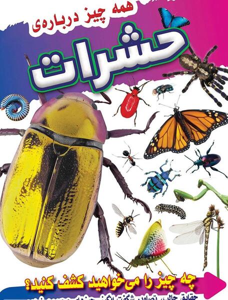 عکس گروه حشرات