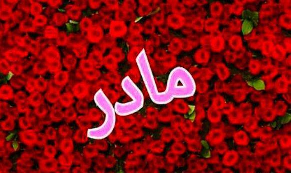 عکس پروفایل گل مادر