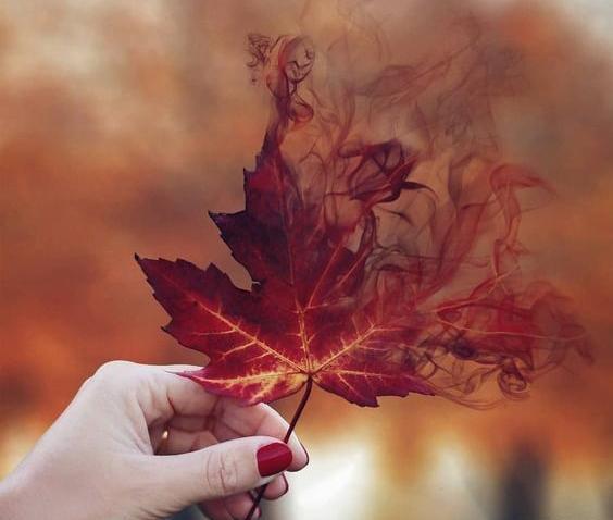 عکس پروفایل پاییز بدون نوشته