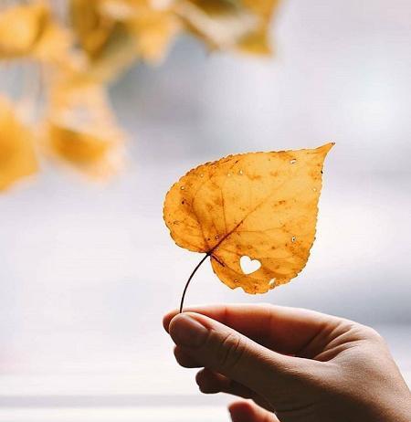عکس پروفایل پاییز بدون نوشته