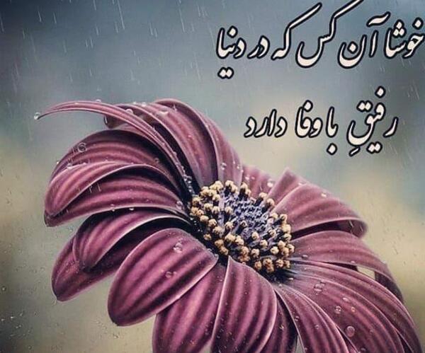 عکس پروفایل دوست باوفا