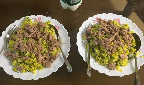عکس شام نی نی سایت
