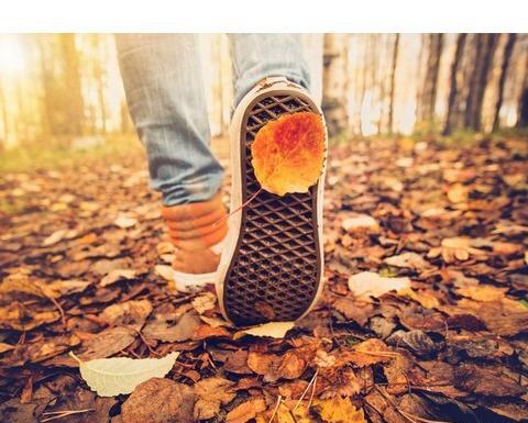 عکس پروفایل پاییز پسرانه