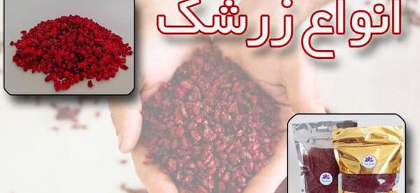عکس زرشک معمولی