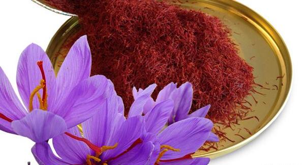 عکس زعفران و زرشک