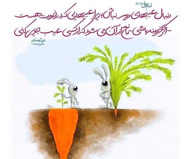عکس از عیب جویی