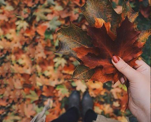عکس پاییزی دخترونه برای وضعیت واتساپ