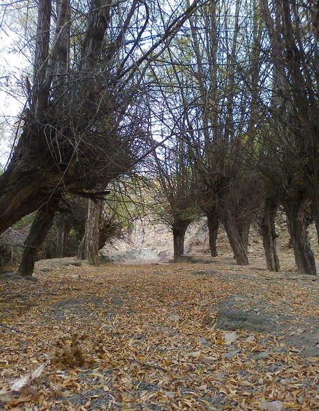 عکس پاییز روستا