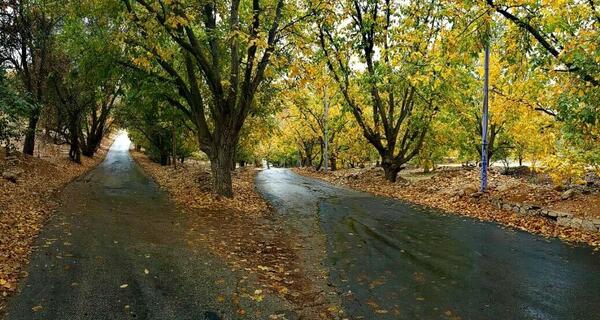 عکس پاییز گچساران