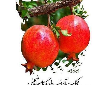 عکس پروفایل خاص یلدا