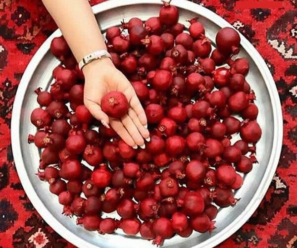 عکس پروفایل خاص یلدا