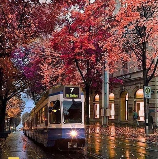 عکس برگ پاییزی در باران