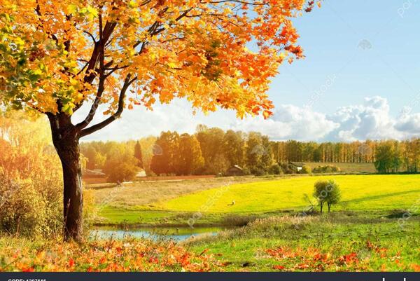 عکس پاییزی صبح
