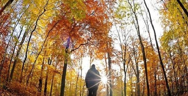 عکس پاییزی صبح