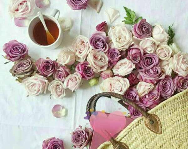 عکس حباب لب رود