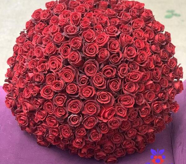 عکس دسته گل کادویی