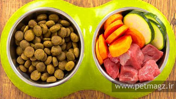 عکس غذای گربه ها