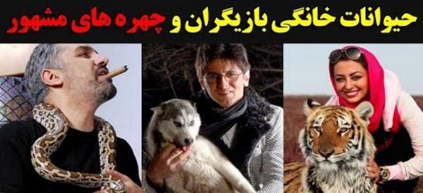 عکس حیوان خانگی امین حیایی