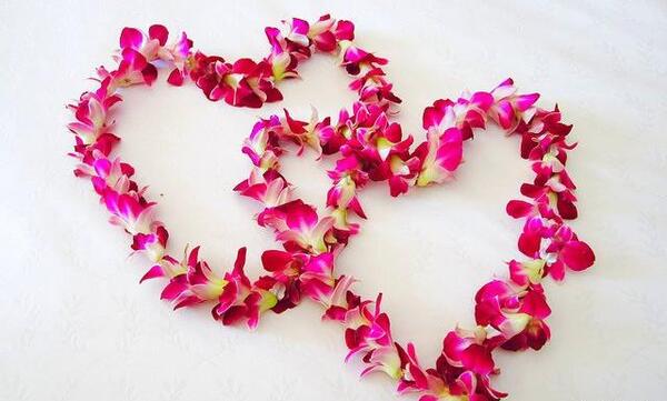 عکس گروه قلب