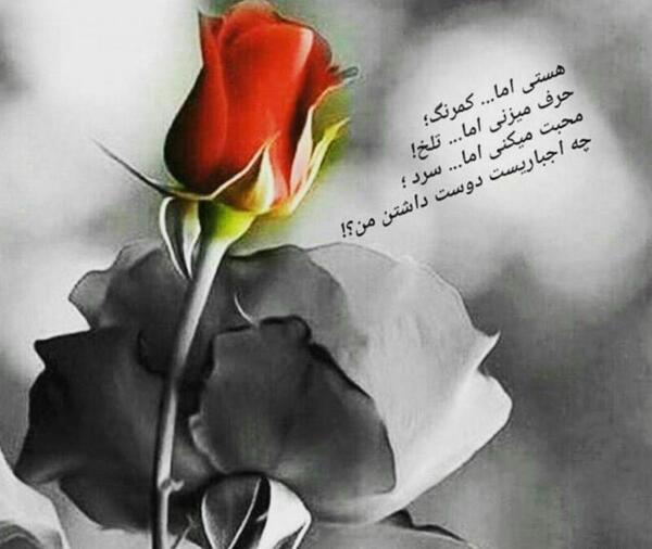 عکس پروفایل دوست داشتن اجباری نیست
