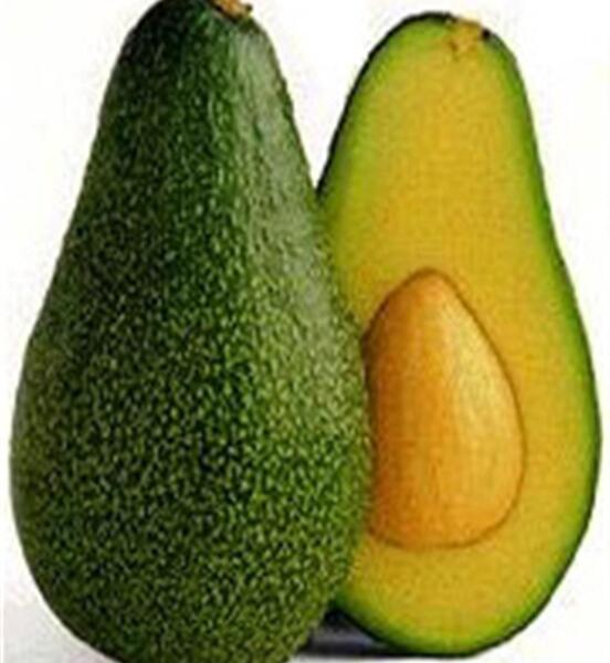 عکس های آووکادو