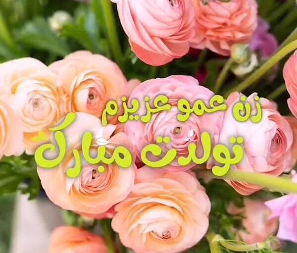 عکس تولدت مبارک زن عمو جان