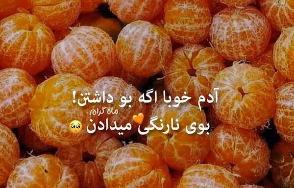 عکس پاییز و نارنگی