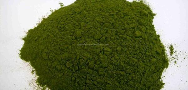 عکس پودر یونجه