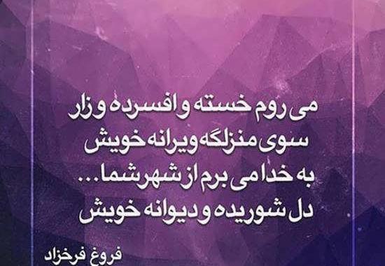 عکس پروفایل از فریدون فرخزاد