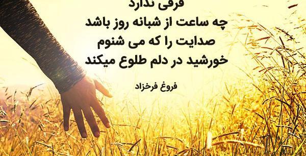 عکس پروفایل از فریدون فرخزاد