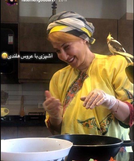 عکسهای فاطمه گودرزی بی حجاب