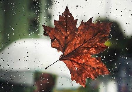 عکس پاییزی غمگین