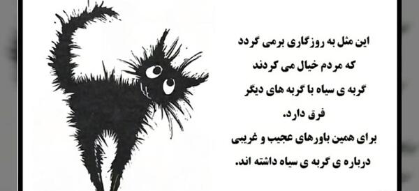 عکس پروفایل به حرف گربه سیاه بارون نمیاد