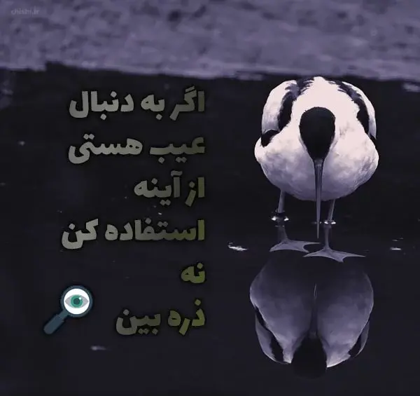 عکس پروفایل به حرف گربه سیاه بارون نمیاد