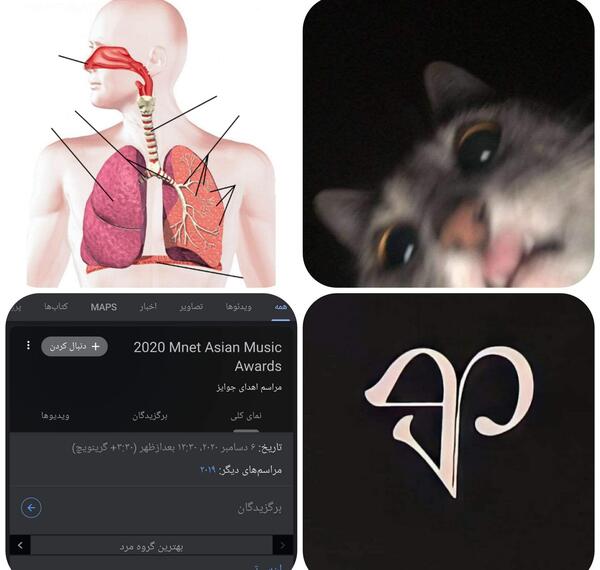 عکس آرم بلک پینک