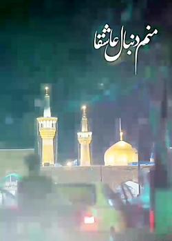 عکس پروفایل خوشحالی یعنی زائر امام رضا باشی