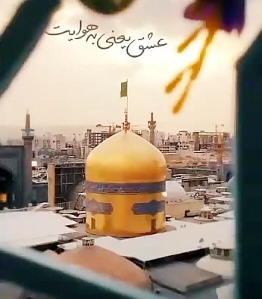 عکس پروفایل خوشحالی یعنی زائر امام رضا باشی