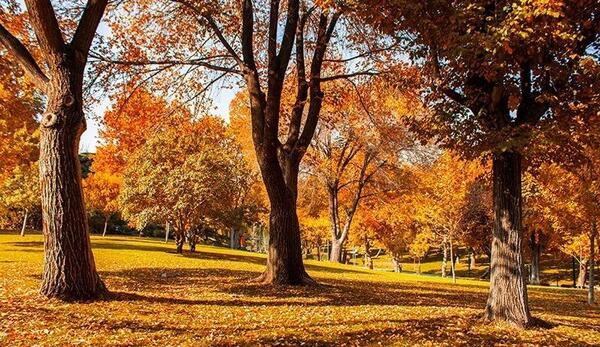 عکس پاییز تهران