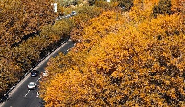 عکس پاییز تهران