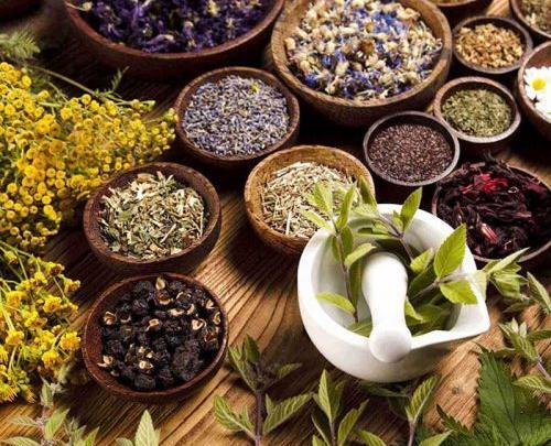 عکس گروه طب سنتی