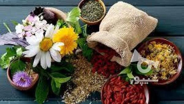 عکس گروه طب سنتی