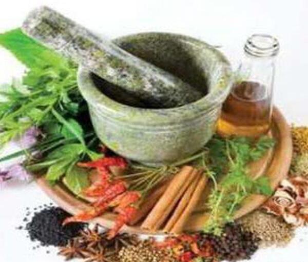 عکس گروه طب سنتی